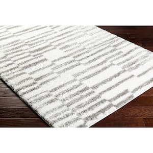 Cloudy Shag Gray Abstract 5 ft. x 7 ft. Indoor Area Rug