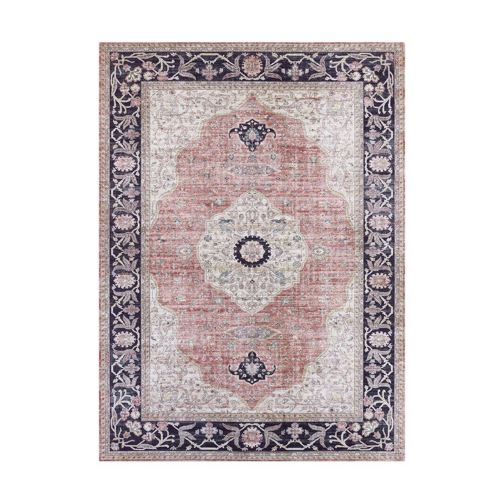 Imagine Chenille Constance Blush 8 ft. x 11 ft. Medallion Polyester Area Rug price history on PriceWatchPro