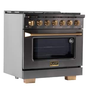 Gemstone Professional 36 in. 5.2 cu. ft. Natural Gas Range with Convection Oven in Titanium Stainless Steel