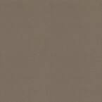 5 ft. x 12 ft. Laminate Sheet in Earthen Warp with Matte Finish