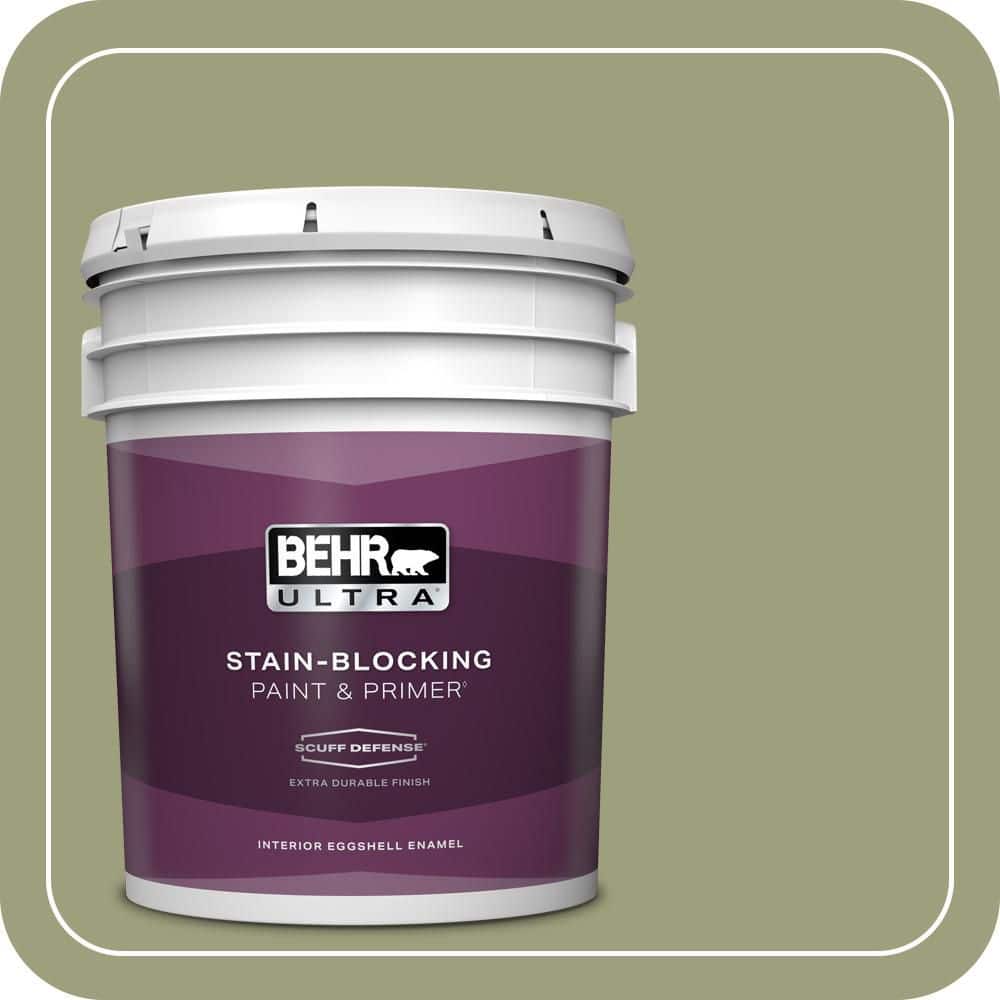 5 gal. #BIC-57 French Parsley Extra Durable Eggshell Enamel Interior Paint & Primer price history on PriceWatchPro