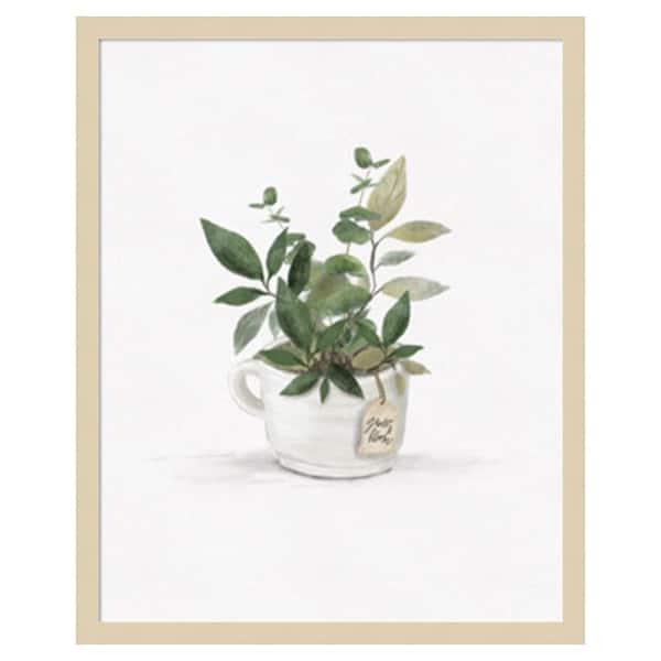 Amanti Art Botanical Mug I by Hm Design 21 in. W x 25 in. H. Wood Framed Wall Art Print Framed in Brown