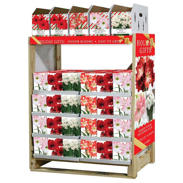 カナリア　棚 Amaryllis and Paperwhites Indoor North Combo Rack 1 06379 - The