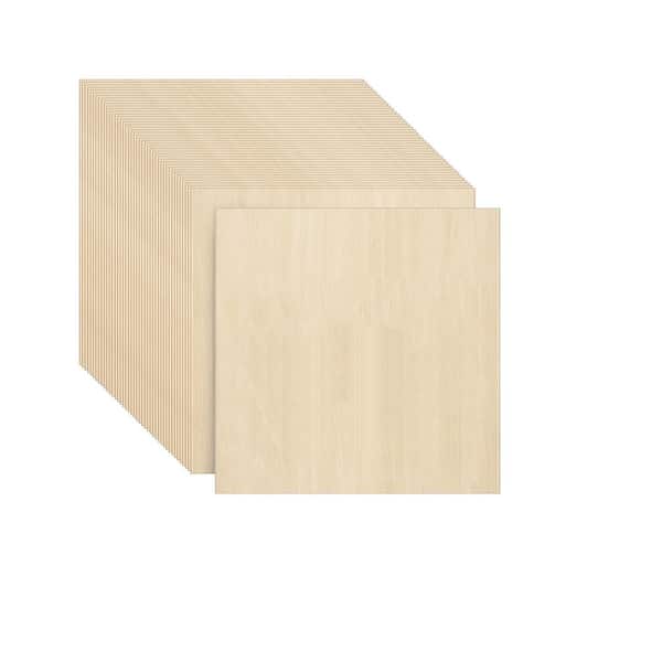 Afoxsos 1/8 in. x 12 in. x 12 in. Basswood Plywood Project Panel