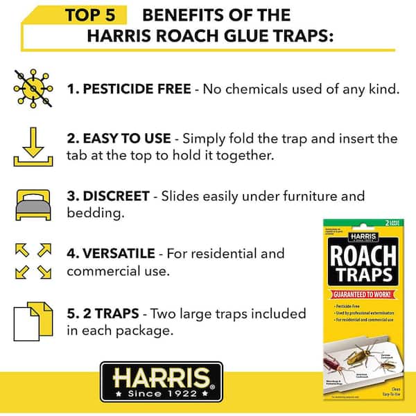 Harris Spider Traps, Irresistible Lure, Large - 2 traps