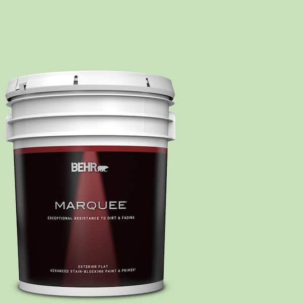 BEHR MARQUEE 5 gal. #440C-3 Rockwood Jade Flat Exterior Paint & Primer