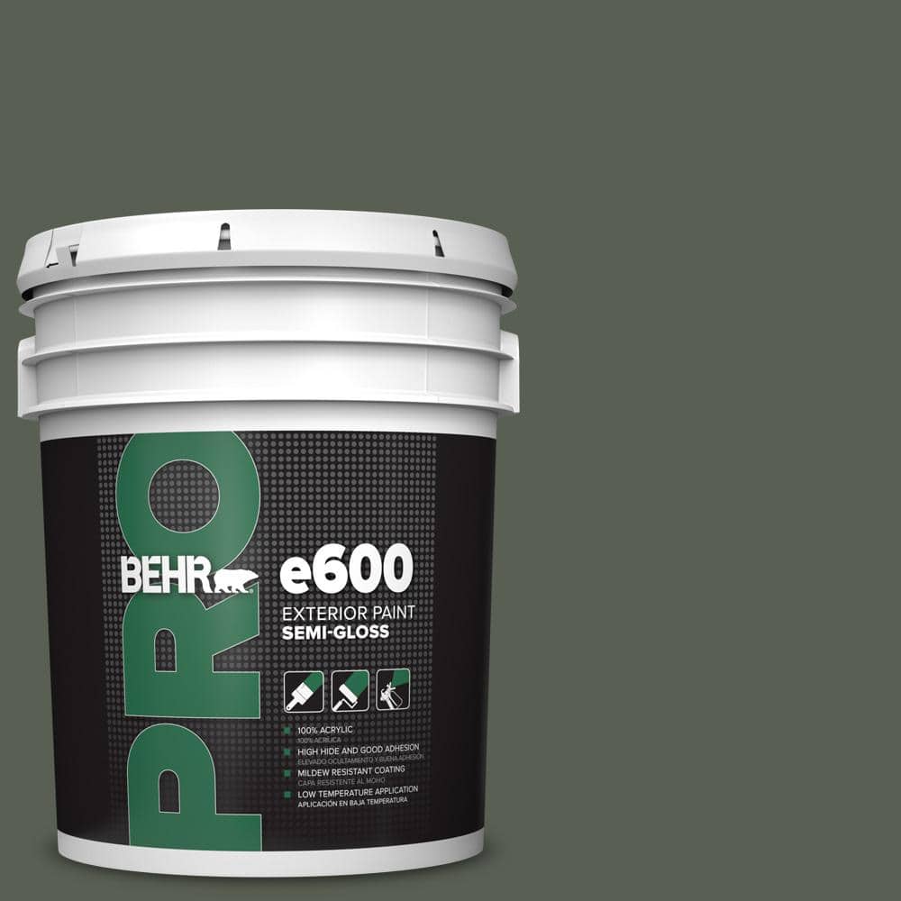 5 gal. #PPU10-20 Pastoral Semi-Gloss Exterior Paint price history on PriceWatchPro