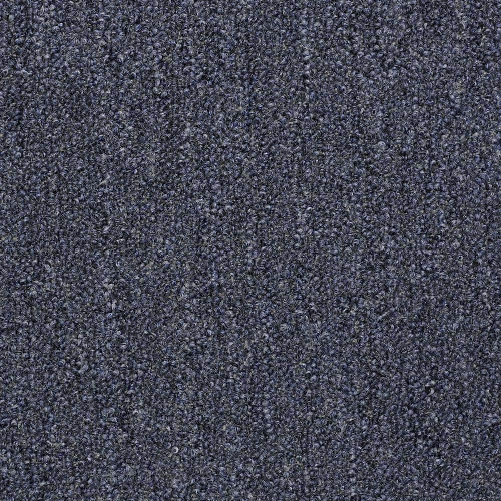 8 in. x 8 in. Loop Carpet Sample - Viking - Color Stoneybrook price history on PriceWatchPro