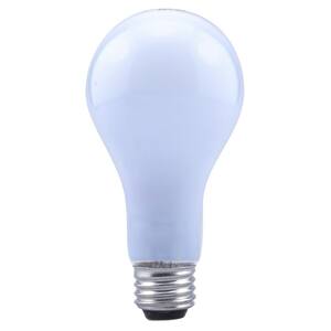 40-Watt Equivalent A19 Dimmable Natural Light Halogen Light Bulb (4-Pack)