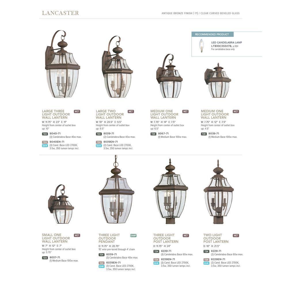 Antique Bronze 2-Light Outdoor Wall Lantern with Beveled Glass