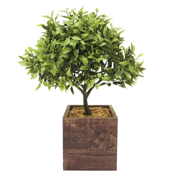LIVING LUXURY 11in Artificial Desktop Leaf Bonsai Tree in Square Wood Pot  5086-GR - The Home Depot