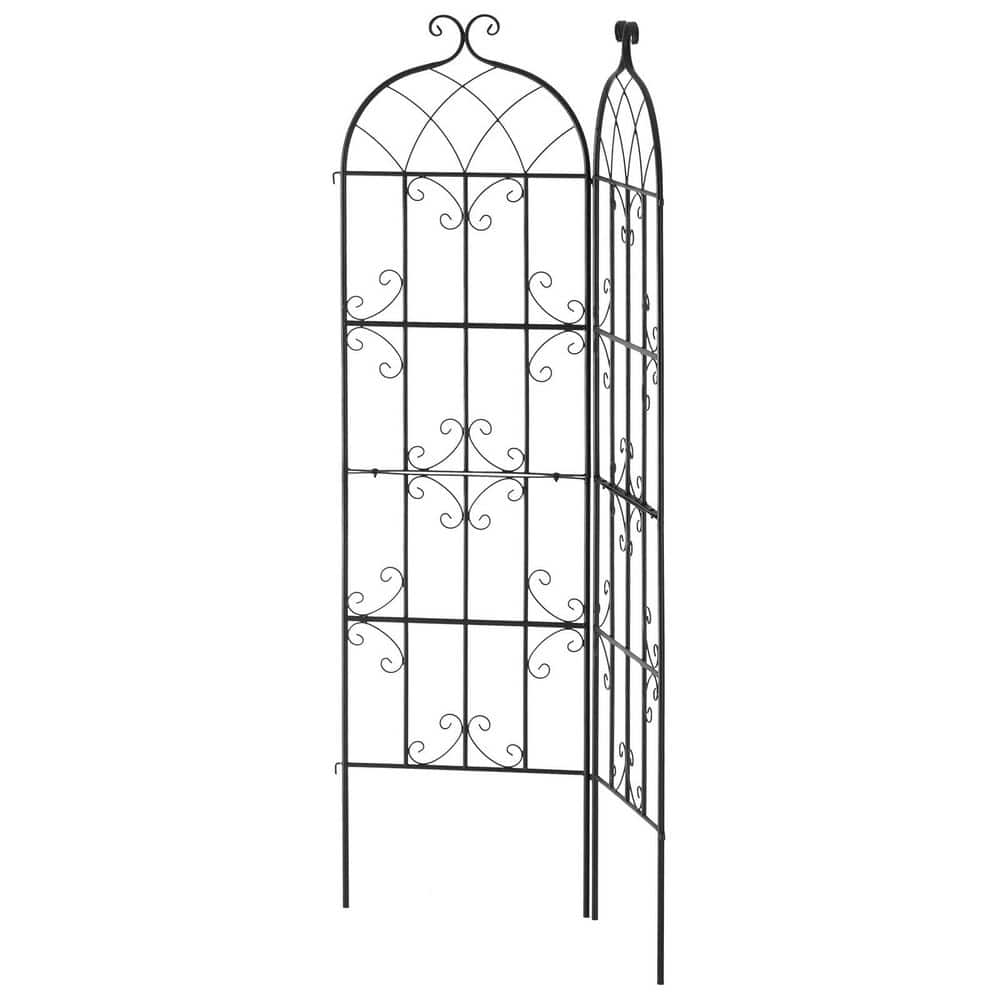 Garden Trellis for Climbing Plants, 71 x 20 in., 2 Packs Rustproof Metal Garden Flower Trellis, Climbing Rose Trellis price history on PriceWatchPro
