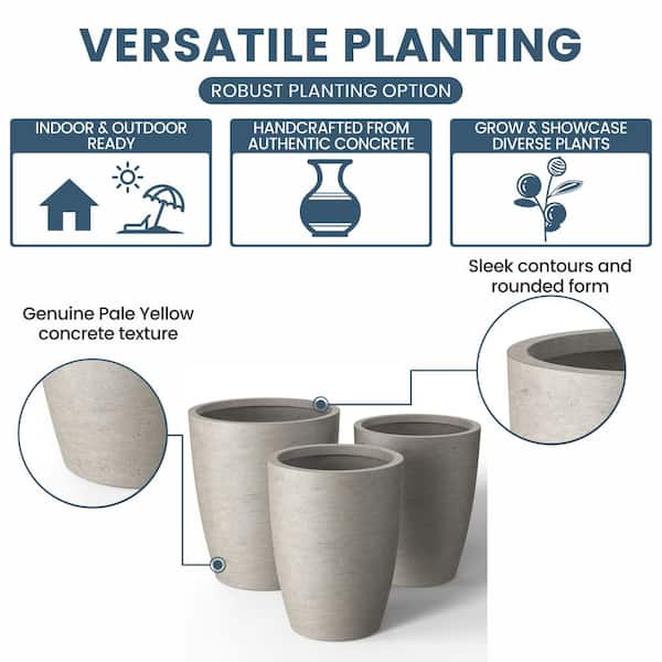 Plastic Plant Trays: Versatile and Practical Solutions for