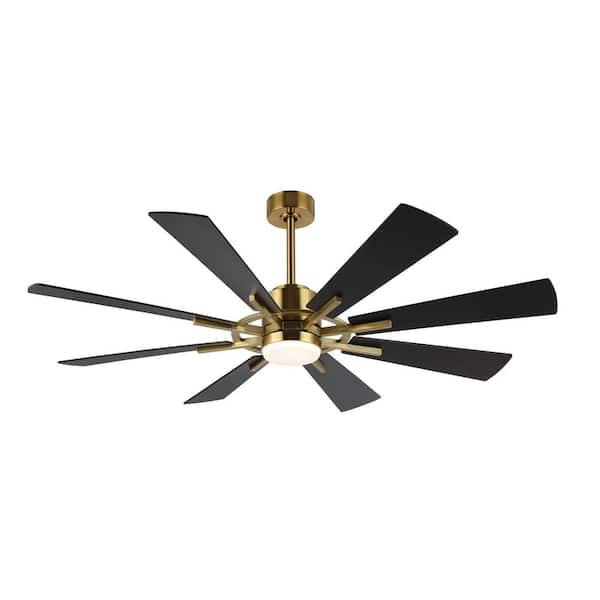 MLiAN 6.6 ft. Black and Gold DC Motor Indoor Ceiling Fan with Lights and Remote