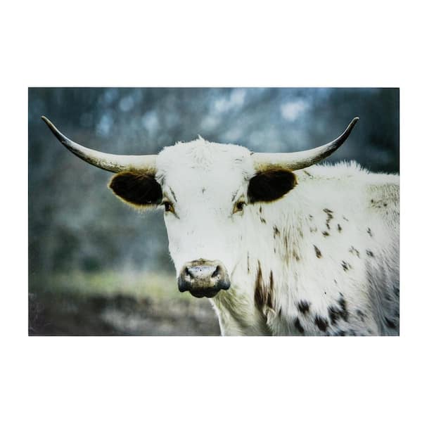 "Close Up" Unframed Color Animals Photography Wall Art 24 in. x 36 in .