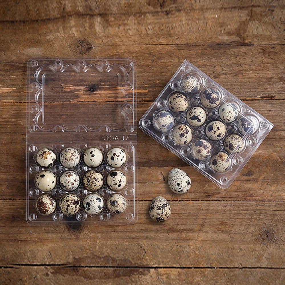 Clear Reusable Plastic Quail Egg Cartons 60-Pack 12-Cavity Clamshell Trays for Refrigerator Storage