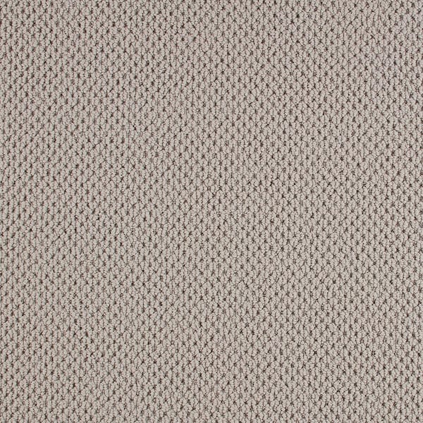 8 in. x 8 in. Pattern Carpet Sample - Beyond Cozy -Color Fresh