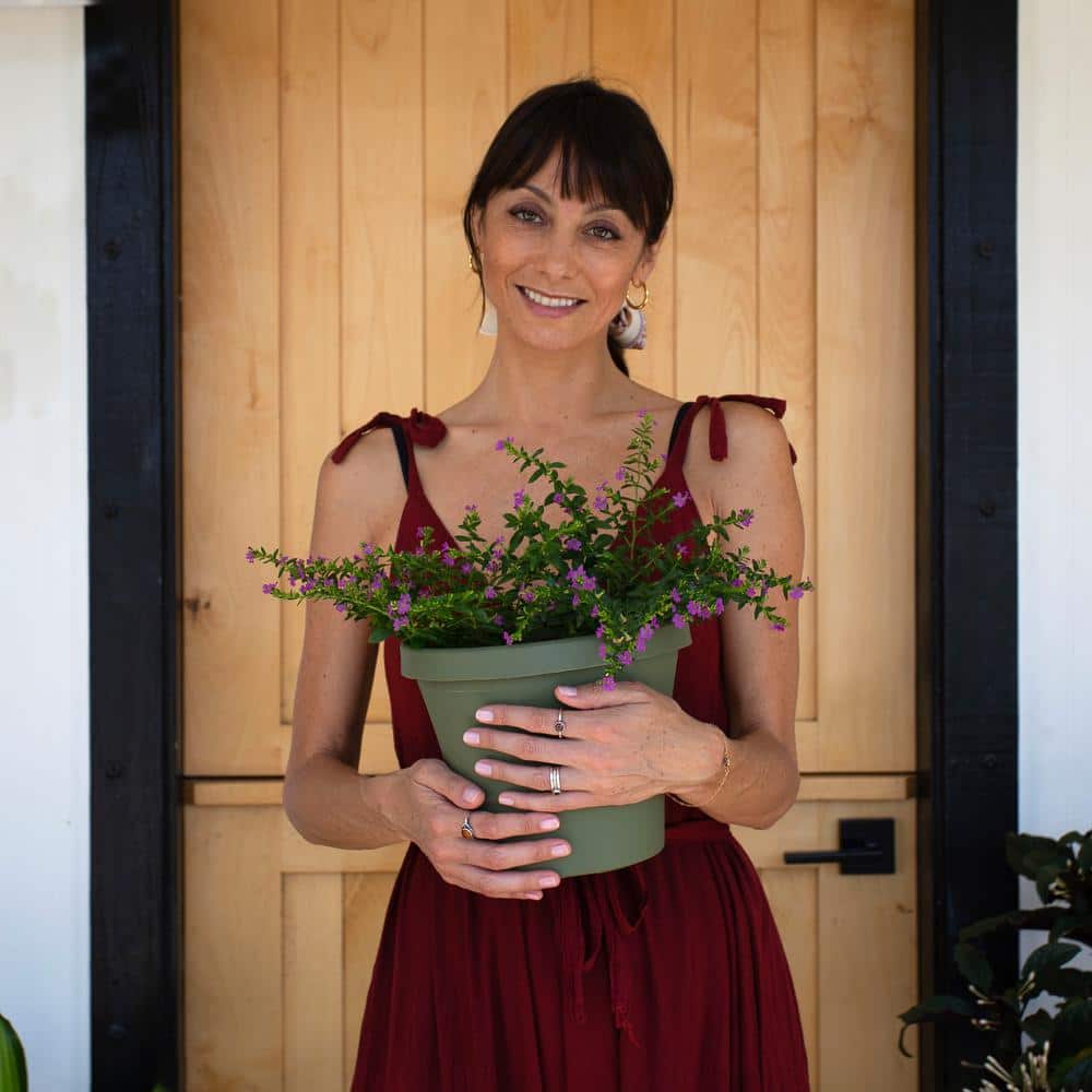 Bloem Living Green Tapered Resin Planter with Drainage Holes