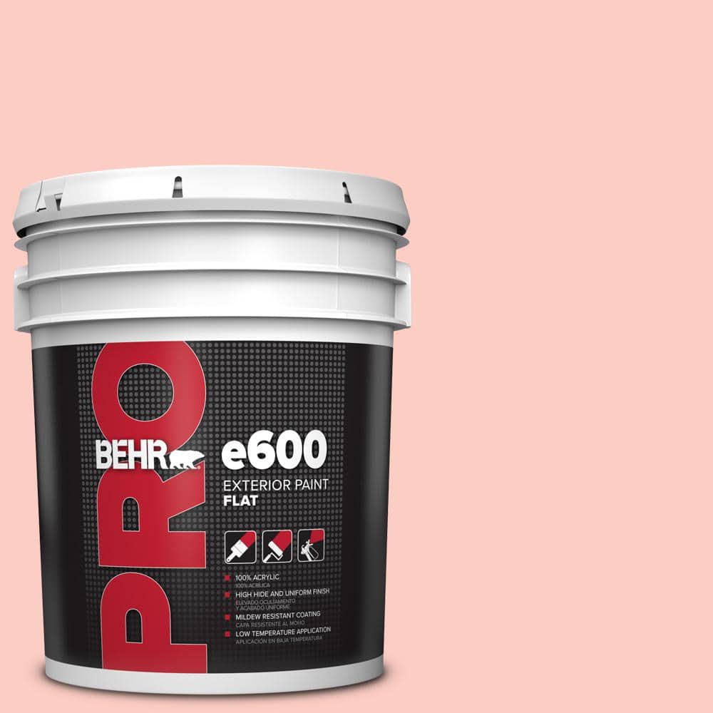 5 gal. #190C-2 Full Bloom Flat Exterior Paint price history on PriceWatchPro