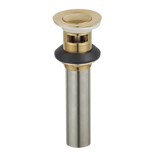 Complement Push-Up Drain with Overflow, Brushed Brass