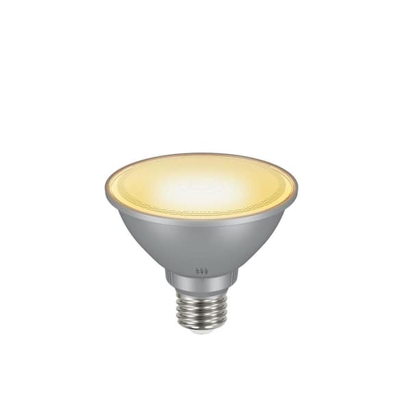 bunnings daylight bulb