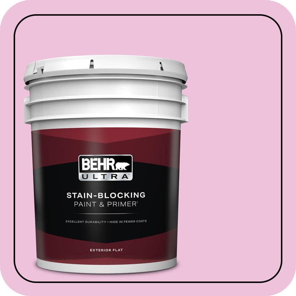 5 gal. #P120-1 Starlet Pink Flat Exterior Paint & Primer price history on PriceWatchPro