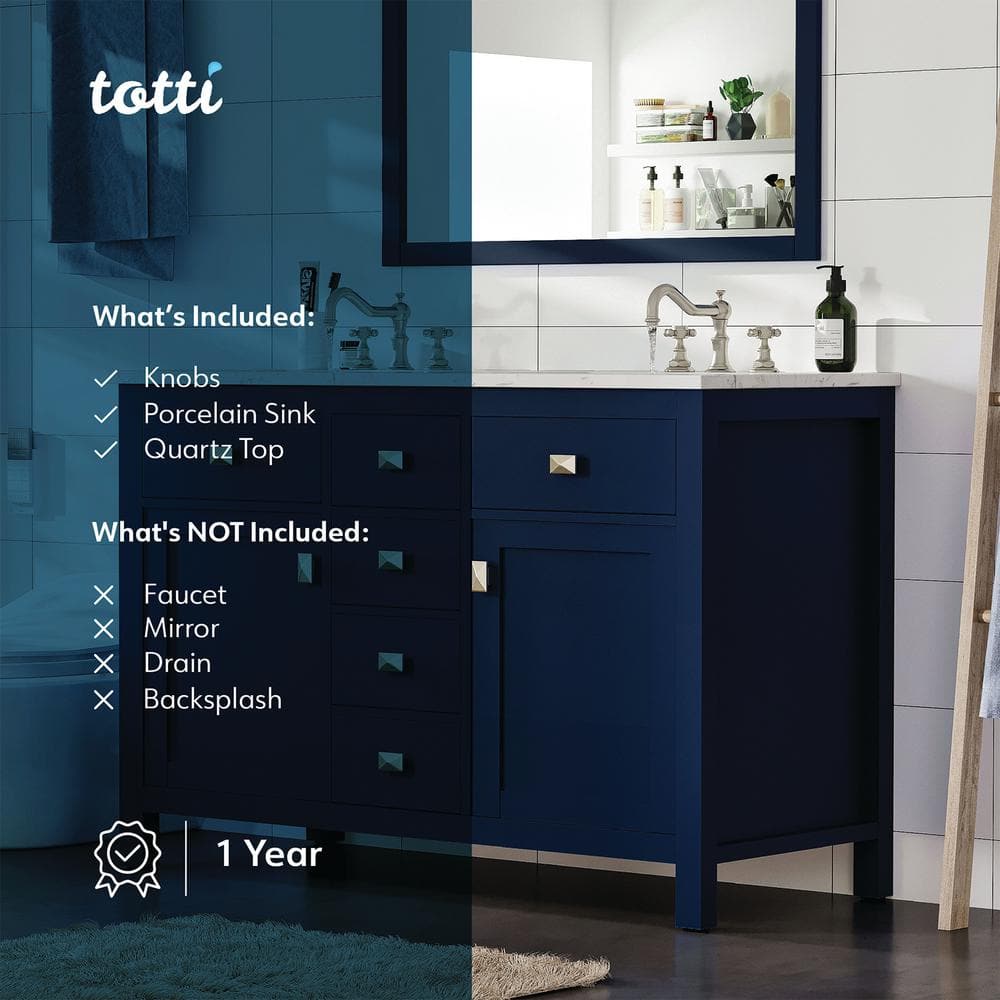 Artemis 48" Blue Solid Wood Double Sink Bathroom Vanity