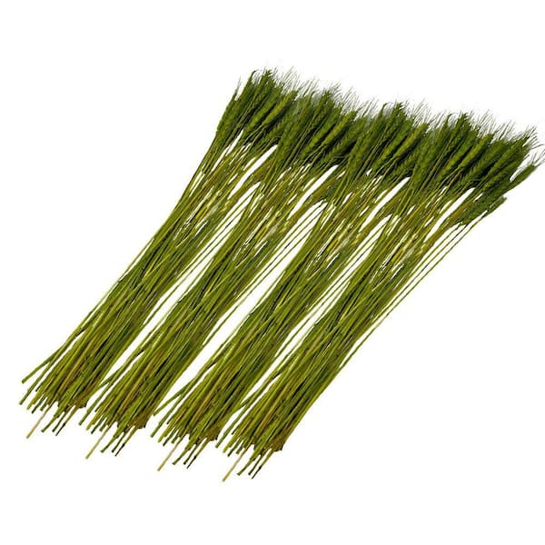 24 in. Yellow Green Indoor Non Artificial Dried Preserved Wheat Pack of 4