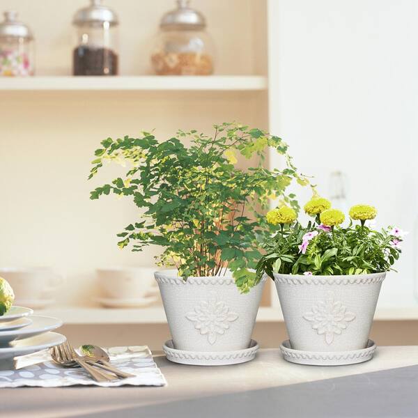 Lorna Small 8 in. x 6 in. 3 Qt. Pearl White Ceramic Indoor Pot (2-Pack)