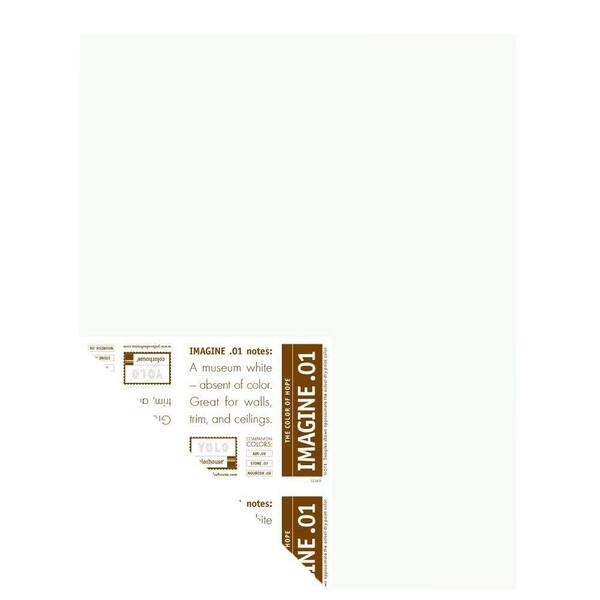 YOLO Colorhouse 12 in. x 16 in. Imagine .01 Pre-Painted Big Chip Sample