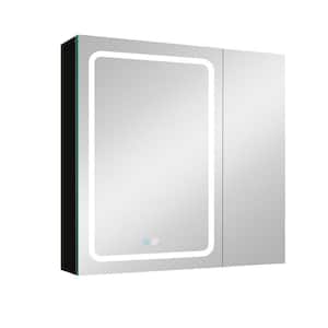 30 in. W x 30 in. H Rectangular Aluminum Recessed/Surface Mount Medicine Cabinet with Mirror