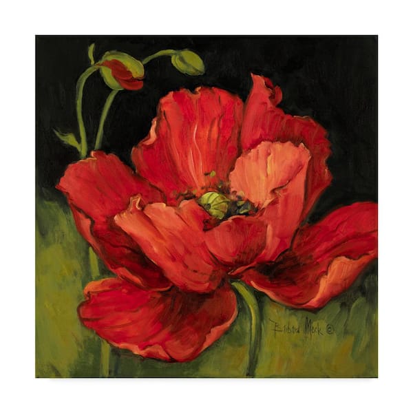 Barbara Mock ' Poppy Blossom' Canvas Unframed Photography Wall Art 35 in. W. x 35 in