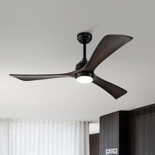 Staykiwi 52 in. Smart Indoor Matte Black Ceiling Fan with