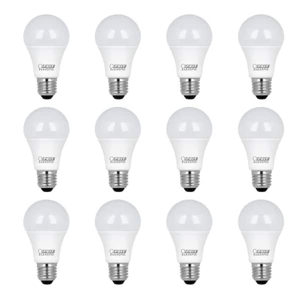 75-Watt Equivalent A19 Non-Dimmable General Purpose E26 Medium Base LED Light Bulb, Daylight 5000K (12-Pack)