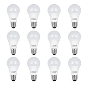 75-Watt Equivalent A19 Non-Dimmable General Purpose E26 Medium Base LED Light Bulb, Daylight 5000K (12-Pack)