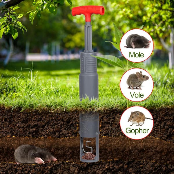 Mole Trapping Set Gopher Trap Vole Killer Outdoor Gopher Eliminator  Reusable Mole Plunger (1-Set) GTS-001A-HD28 - The Home Depot