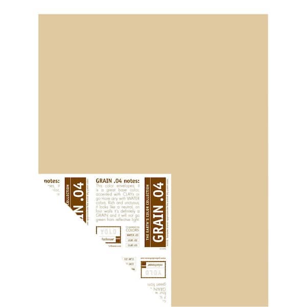 YOLO Colorhouse 12 in. x 16 in. Grain .04 Pre-Painted Big Chip Sample