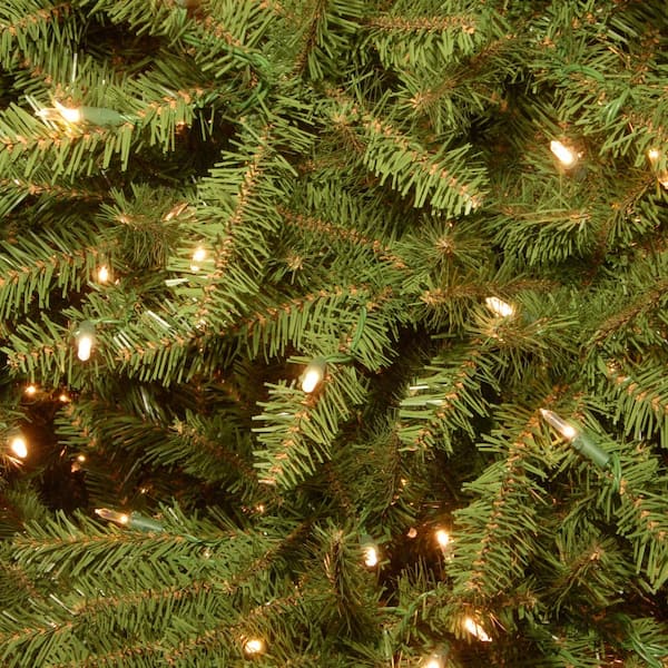 National Tree Company Pre-Lit Artificial Christmas Garland, Green, Eve