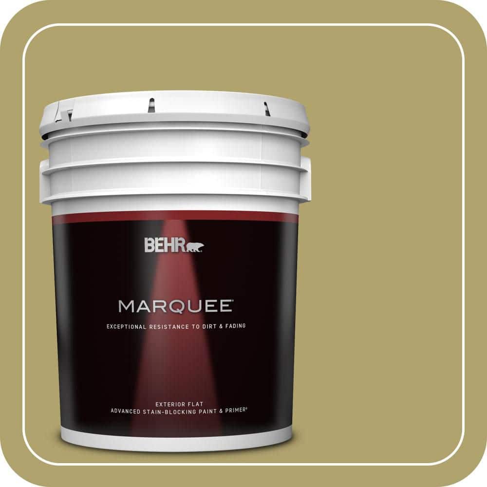 5 gal. Home Decorators Collection #HDC-WR15-10 Green Bean Casserole Flat Exterior Paint & Primer price history on PriceWatchPro