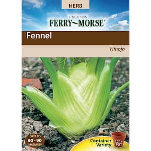 Fennel Florence Seed