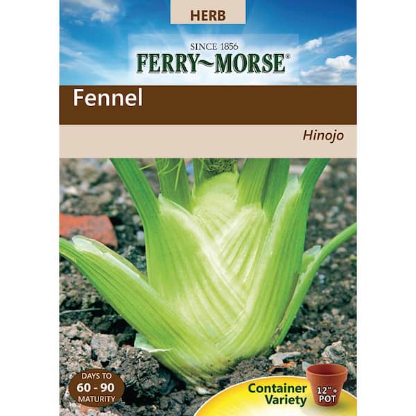 Ferry-Morse Fennel Florence Seed