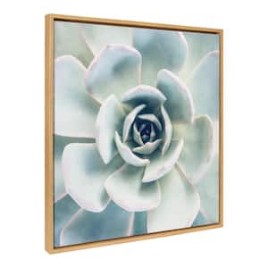 Sylvie "Succulent 7" by F2 Images Framed Canvas Wall Art