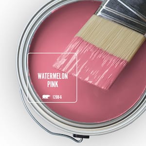 120B-6 Watermelon Pink Paint