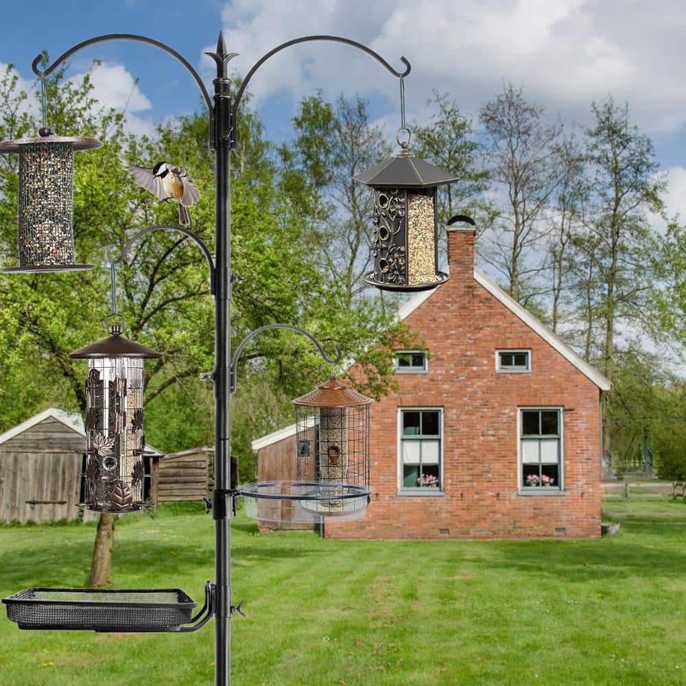 Ashman 92" Black Metal Bird Feeding Station with Multiple Hooks