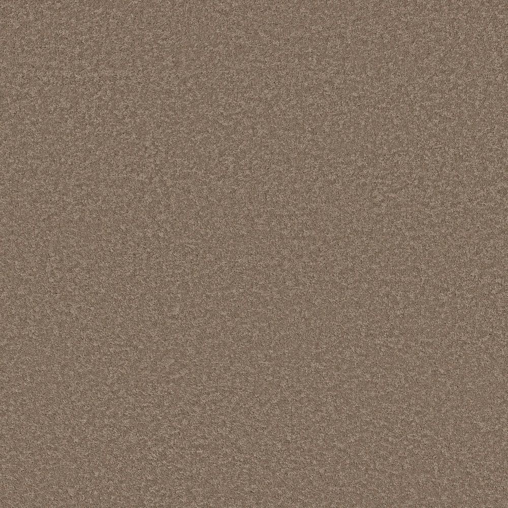 8 in. x 8 in. Texture Carpet Sample - Vignette Velvet II - Color Down Home price history on PriceWatchPro