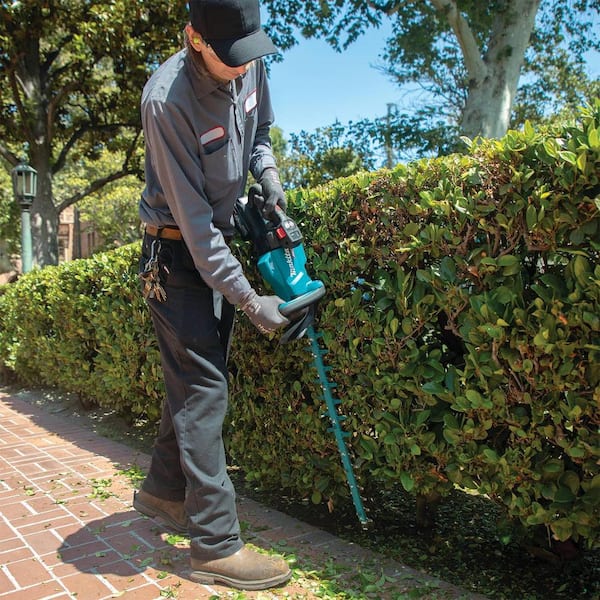 https://images.thdstatic.com/productImages/701f323a-ef8f-4210-8079-8ba280f5dc82/svn/makita-cordless-hedge-trimmers-ghu03m1-66_600.jpg