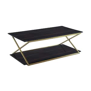 Mariana 51 in. Brushed Gold Rectangle Wood Coffee Table with Shelves, and Storage