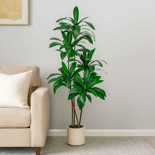 VIVATREES 6 ft. Artificial Dracaena Draco Dragon Tree Fragrans Faux Corn Plants in White Round Pot for Home Office Decor
