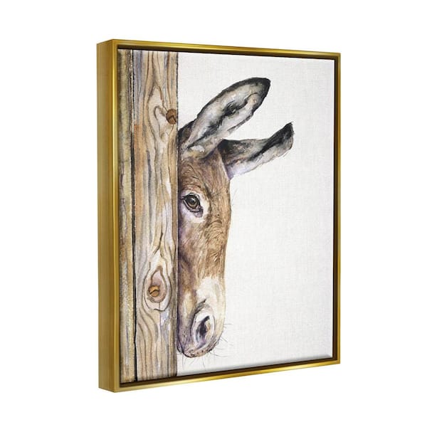 Donkey frame store