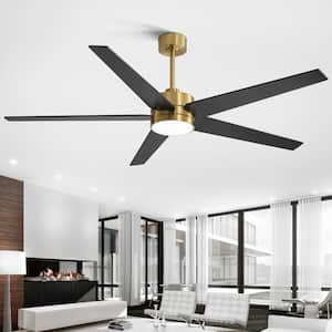 Rudolph 65 in. Integrated LED Indoor Black-Blade Gold Ceiling Fans with Light and Remote Control Included
